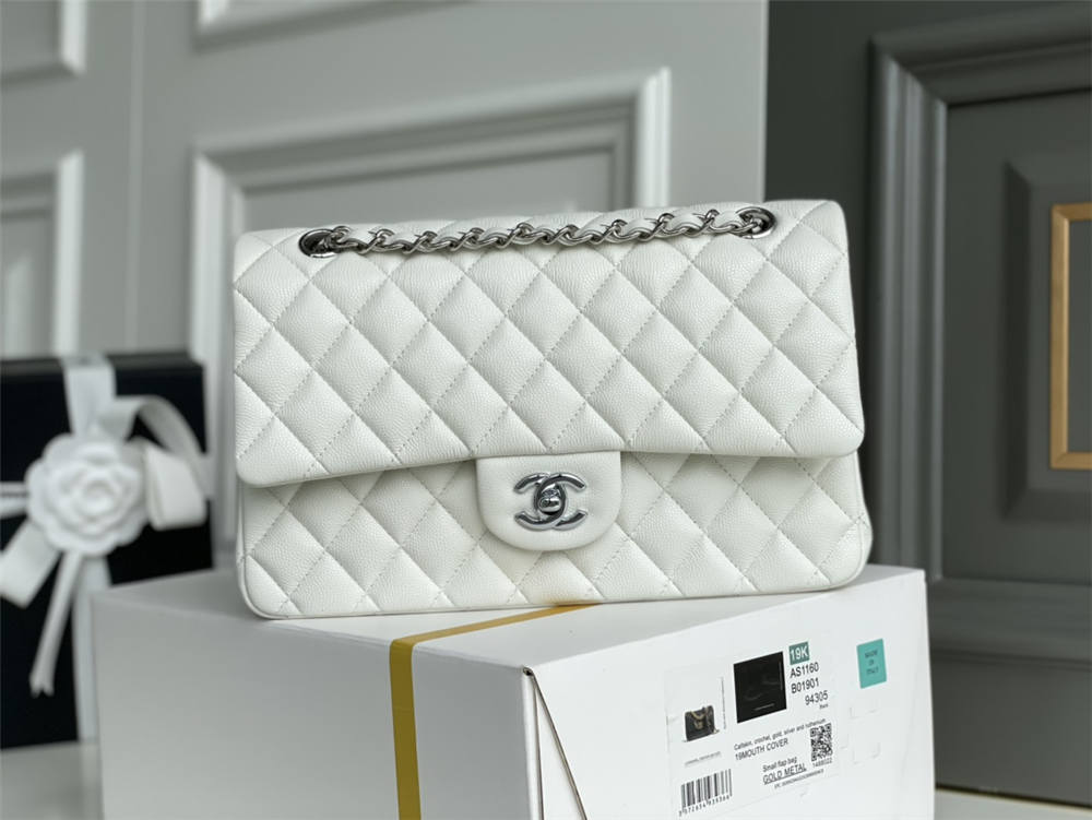 Chanel classic flap 25cm 2025 new 